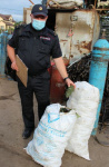 Полиция информирует приморцев о необходимости соблюдения правил заготовки кедрового ореха 