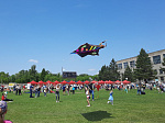 В Арсеньеве прошел фестиваль воздушных змеев «Небо на ладони»