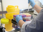 Роспотребнадзор: Новых случаев заболевания коронавирусом в Приморье не выявлено 