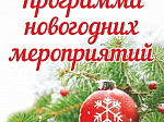 ПЕРЕЧЕНЬ  мероприятий по проведению новогодних и рождественских праздников в Арсеньевском городском округе 2021 – 2022 гг.