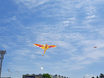 В Арсеньеве прошел фестиваль воздушных змеев «Небо на ладони»