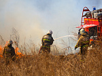 Почти 30 пожаров ликвидировано в Приморье за сутки 