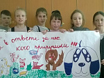 В день защиты бездомных животных юннаты Арсеньева провели акцию «Мы в ответе за тех, кого приручили»