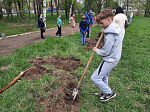 В Арсеньеве продолжается акция «Сад памяти»