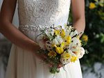 Более 350 церемоний бракосочетания проведут во время празднования Дня семьи, любви и верности в Приморье