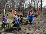 Волонтеры Центра внешкольной работы провели акцию «Зеленая весна» 