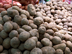 Минсельхоз Приморья: На рынке картофеля создают искусственный ажиотаж, дефицита овощей в крае нет