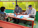В Арсеньеве участковые избирательные комиссии организовали голосование на придомовых территориях