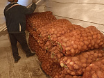 В детские сады города закуплены овощи – 45 тонн картофеля, 4 тонны свеклы, 6 тонн моркови