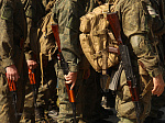 Электронное удостоверение «СВОи» могут получить ветераны боевых действий в Приморье