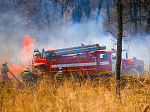 В Приморье потушили 30 лесных и природных пожаров за сутки