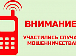 Полиция Арсеньева предупреждает граждан. Внимание: активизировались телефонные мошенники! 