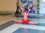 Сегодня в ДК «Прогресс» состоялся муниципальный этап Всероссийского конкурса «Семья года»