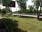 Работники муниципального предприятия «Чистый город» приступили к покосу травы и фигурной обрезке деревьев