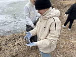 Акция по очистке от мусора берегов водных объектов «Вода России» пройдет в Арсеньеве 27 апреля 