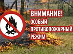 В Арсеньеве введен особый противопожарный режим 