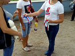 Волонтеры и молодогвардейцы Арсеньева провели акции, посвященные Дню Государственного флага России