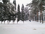 В Арсеньеве продолжается уборка снега