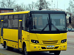 Белорусские автобусы для перевозки юных спортсменов приобретут в спортшколы Приморья 
