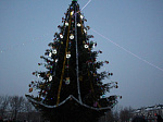 В Арсеньеве состоялось открытие главной новогодней елки