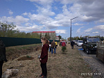 2 мая более 40 человек с детьми организованно прибыли на площадку и занялись высадкой деревьев вдоль дороги, ведущей к музейному центру.