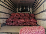 В детские сады города закуплены овощи – 45 тонн картофеля, 4 тонны свеклы, 6 тонн моркови