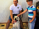 В Ласточке прошло благотворительное мероприятие "Человек собаке друг"