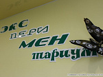 В этом году на подготовку учреждений образования Арсеньевского городского округа к новому учебному году направлено более 30-ти миллионов рублей